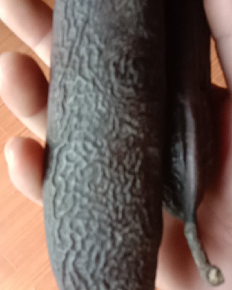 油皂角，皂角米，新货批发零售，洗头药用都可