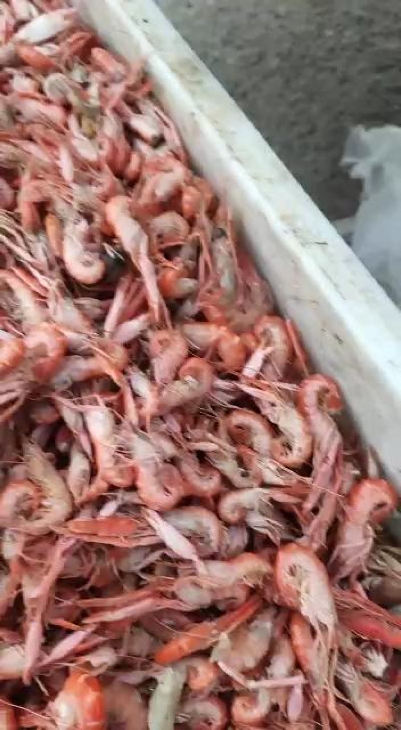 爪虾勾虾立虾新鲜美味可即食烹饪麻辣油炸促销价