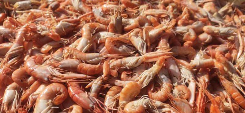 爪虾勾虾立虾新鲜美味可即食烹饪麻辣油炸促销价
