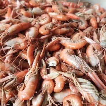 爪虾勾虾立虾新鲜美味可即食烹饪麻辣油炸促销价