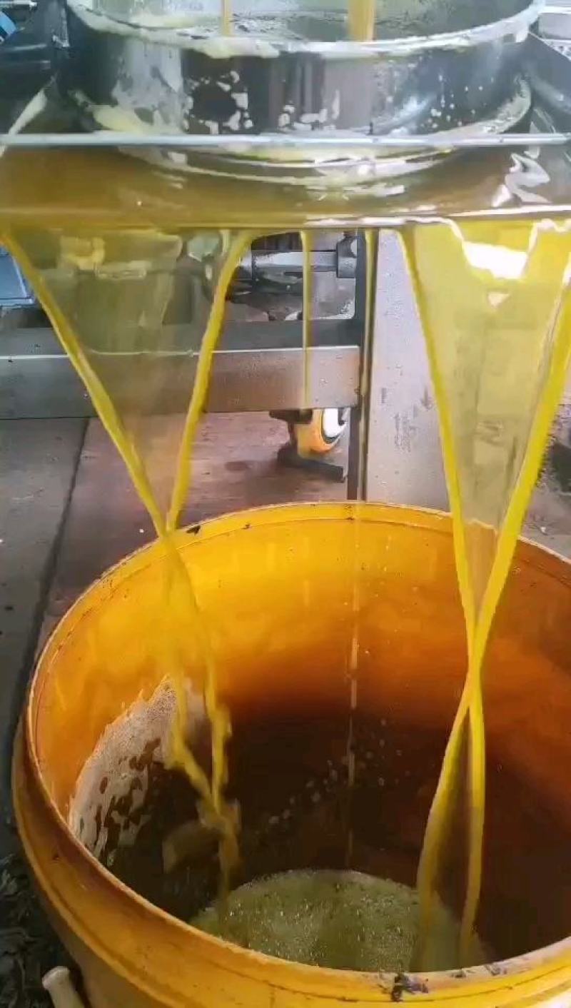 油菜籽油菜籽1货品保证，水分干，无杂物，颗粒饱满。