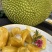 巴掌菠萝蜜