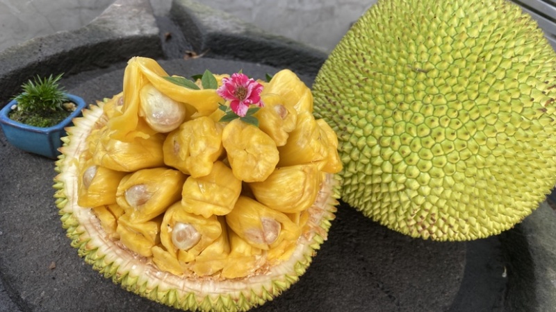 巴掌菠萝蜜
