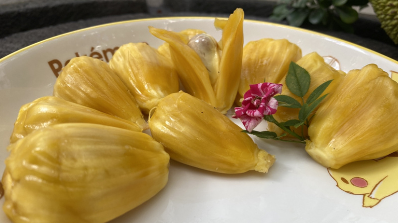 巴掌菠萝蜜
