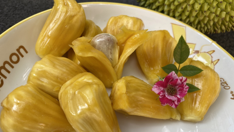 巴掌菠萝蜜