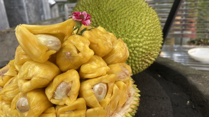 巴掌菠萝蜜