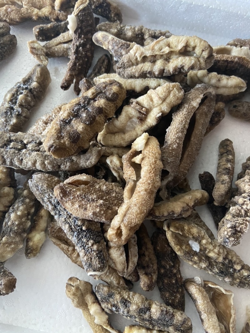 白肚海参批发，价格便宜，大量酒店市场，社区团购