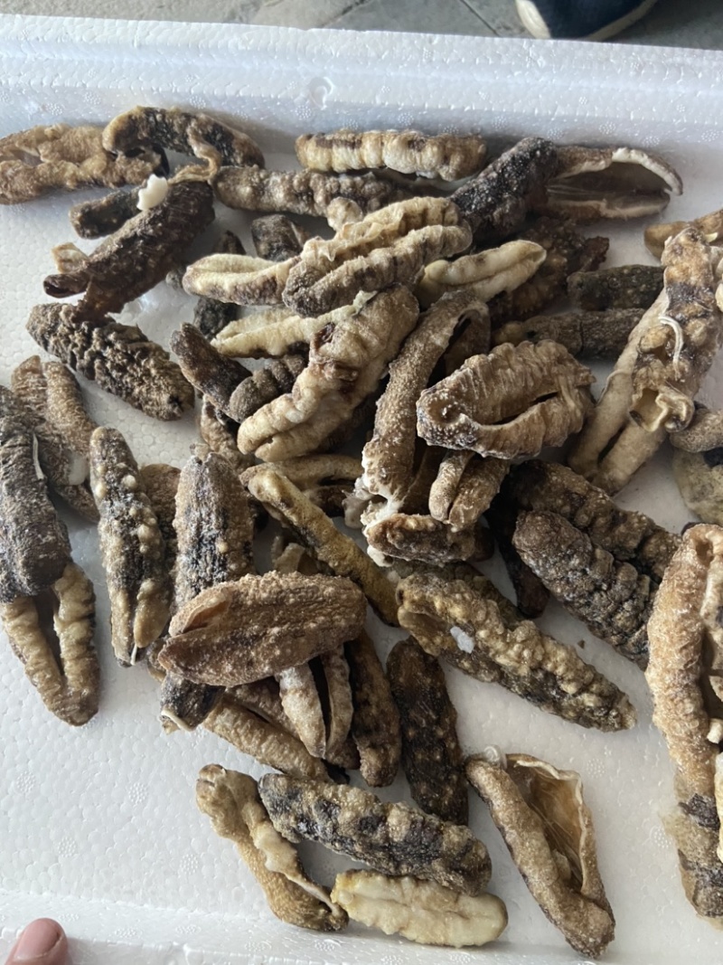 白肚海参批发，价格便宜，大量酒店市场，社区团购