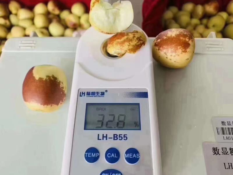 热卖精品沾化冬枣，酥脆甘甜，产地直供，电商对接，欢迎品鉴