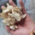 白芨，无硫，大货，白芨片