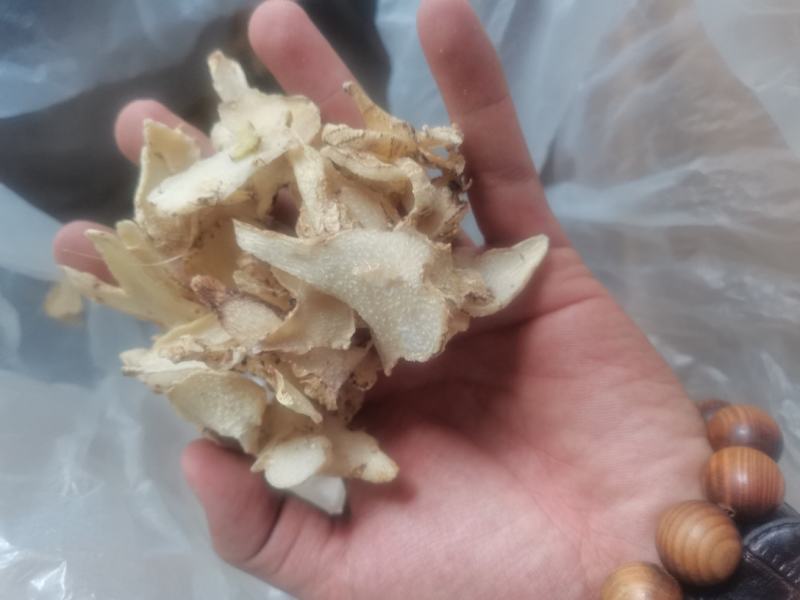 白芨，无硫，大货，白芨片