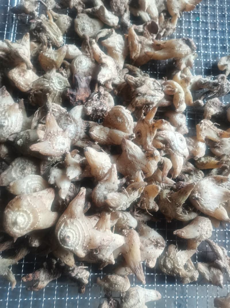 白芨，无硫，大货，白芨片