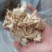 白芨，无硫，大货，白芨片