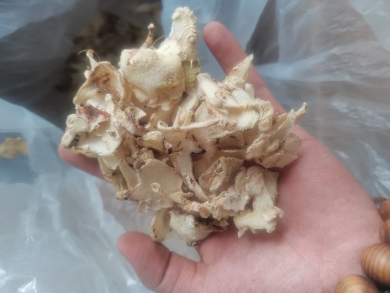 白芨，无硫，大货，白芨片