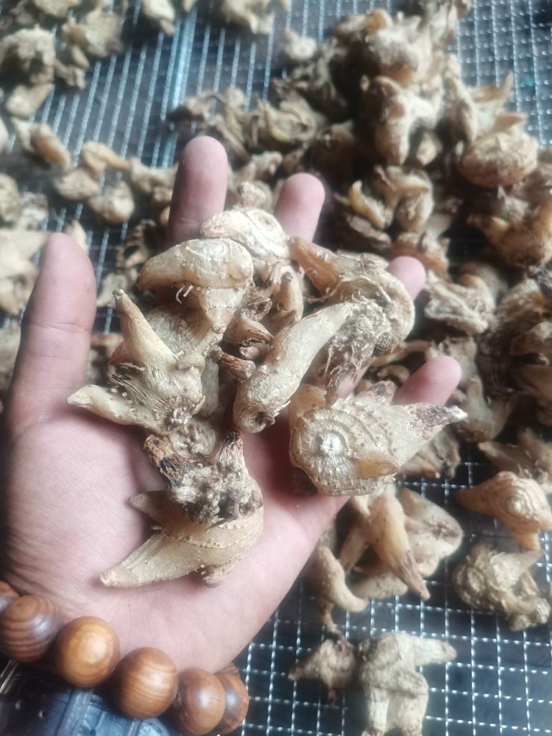 白芨，无硫，大货，白芨片