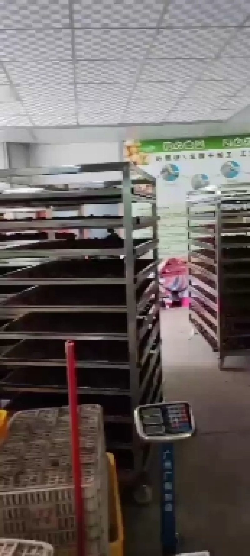 石硖龙眼，荔枝干