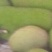 石硖龙眼，荔枝干