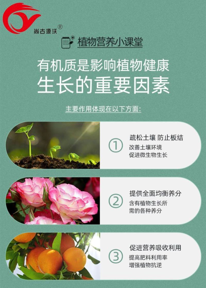 高活性有机肥颗粒型有机质60内涵黄腐酸活性菌