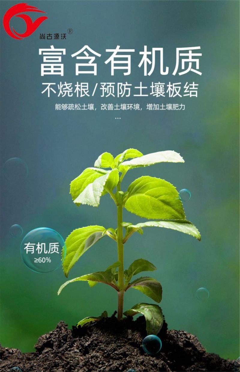 高活性有机肥颗粒型有机质60内涵黄腐酸活性菌