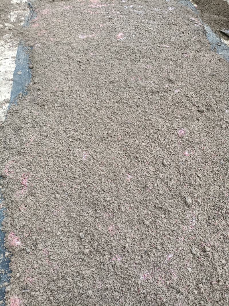 蚯蚓