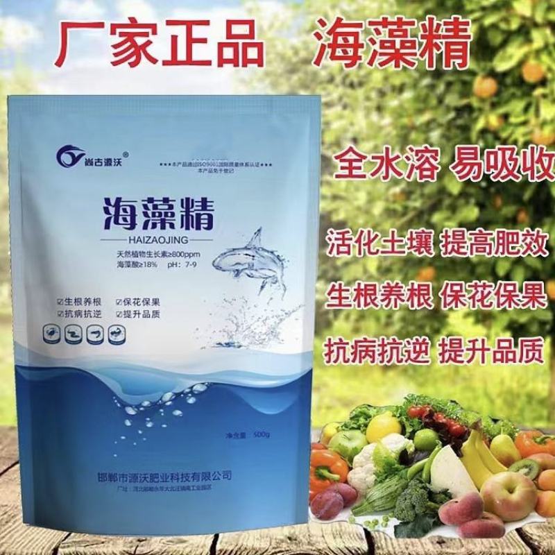 海藻精，全水溶肥，河北邯郸市源沃肥业科技有限