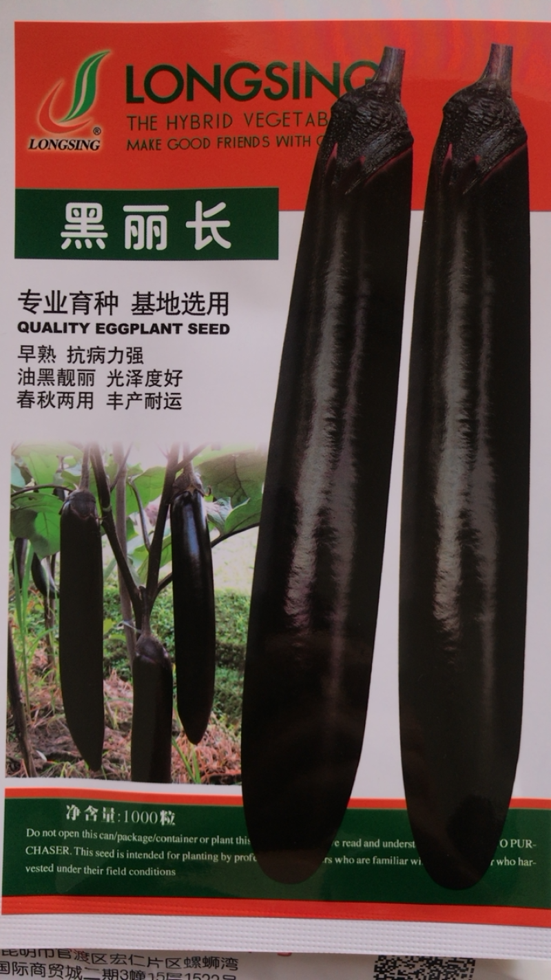 茄子长茄墨茄黑丽长颜色靓丽