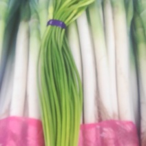 葱蒜类