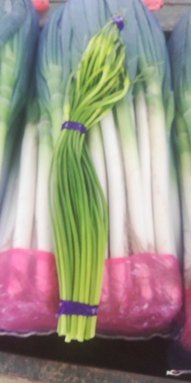 葱蒜类