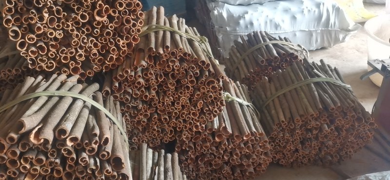 桂皮精选通条适合小包装入超市网上发