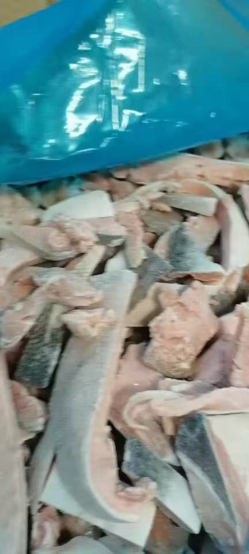 马哈鱼碎肉边角料马哈鱼碎肉边角料马哈鱼碎肉边角料马哈鱼碎