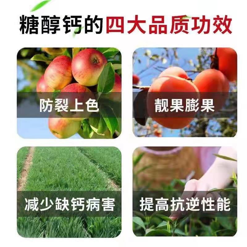 糖醇钙，厂家直销，邯郸市源沃肥业科技有限公司