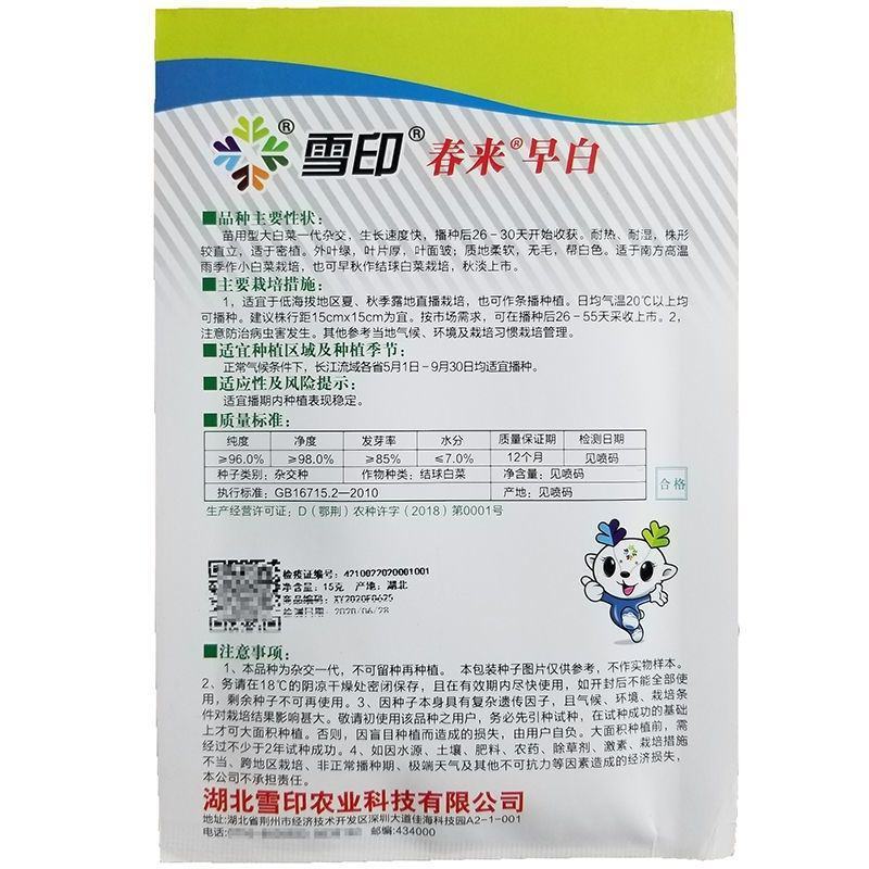 【春来早白】春来早白四季速生快菜种子庭院蔬菜种子阳台