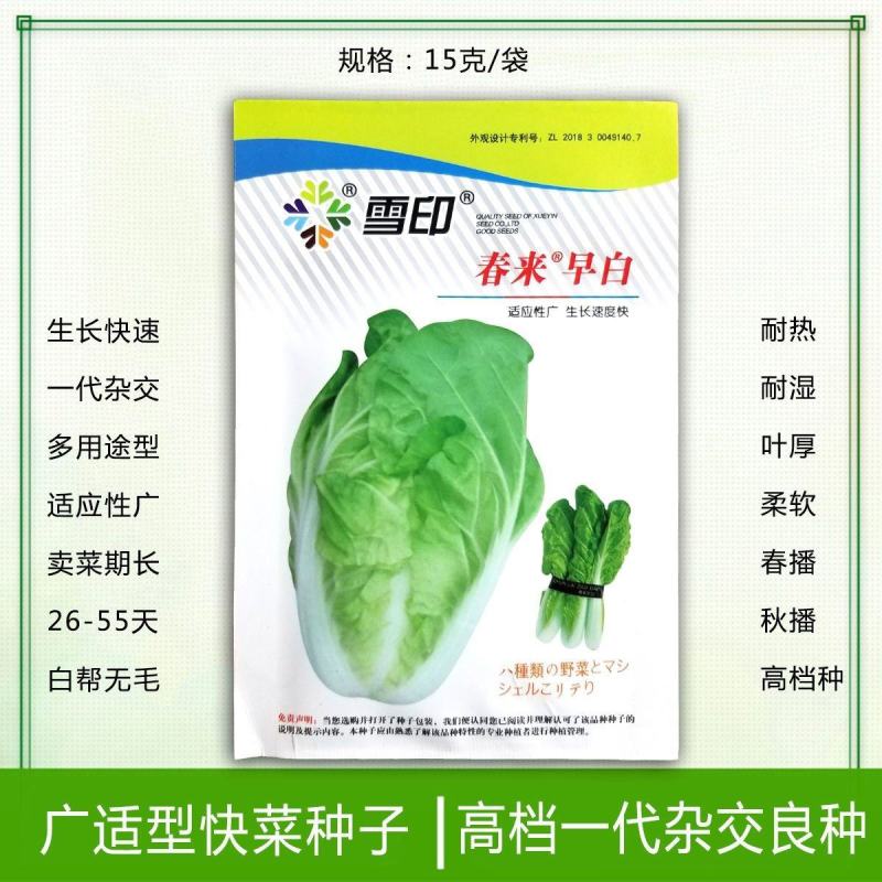 【春来早白】春来早白四季速生快菜种子庭院蔬菜种子阳台