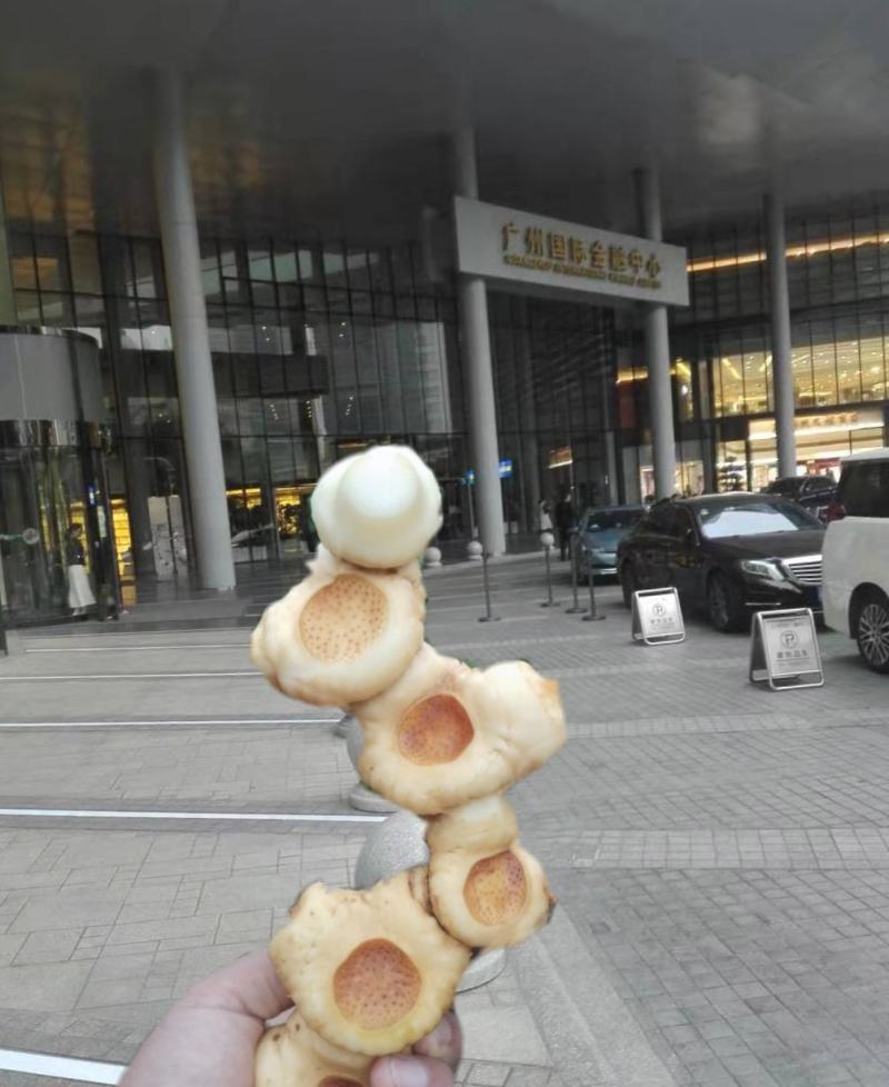 黄精，九蒸九晒，古法制作，原汁原味。