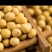 乌克兰大豆，非转基因，一手货源，在中国海关有进出口备案