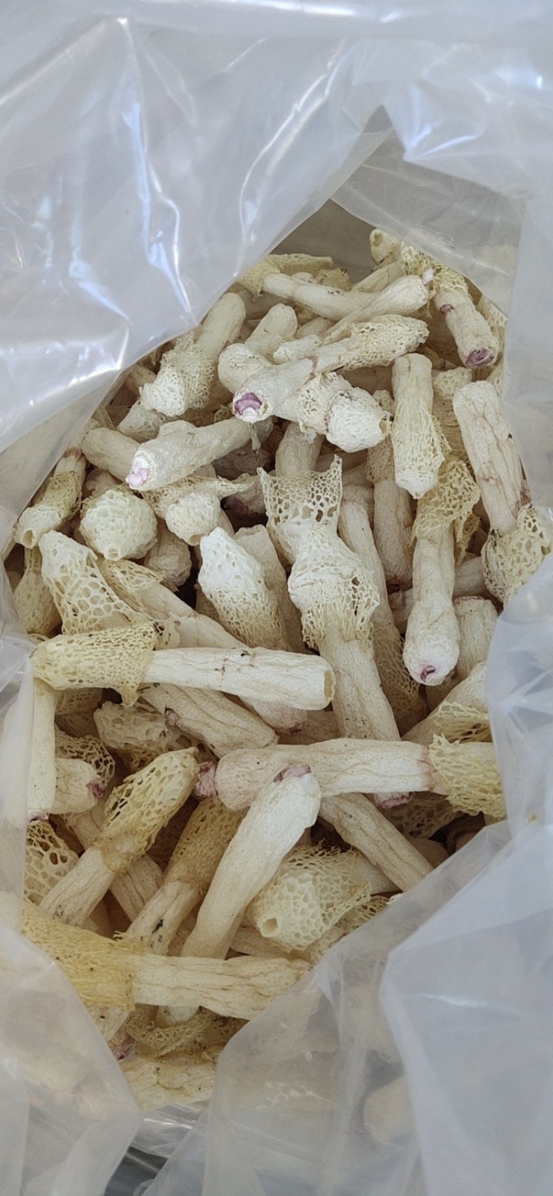 红托竹荪段，（成品剪段）泡发即煲汤，贵州竹荪。