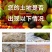 生物有机肥有机菌肥微生物菌剂增产增收改良土壤