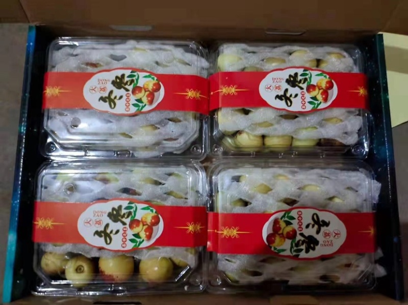大荔鲜栆