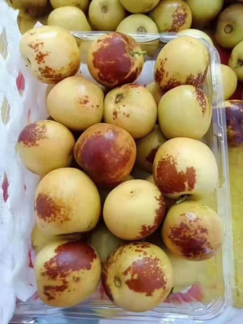 大荔鲜栆