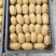 【精品猕猴桃】米粮一号。电商货，市场货大量供应