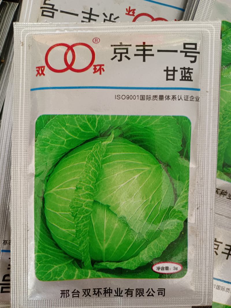 正品原装京丰一号甘蓝高产优质种子