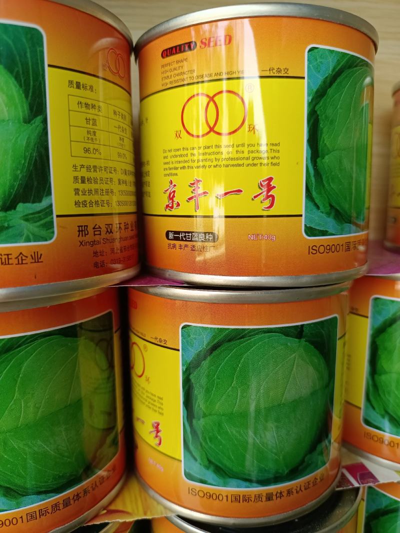 正品原装京丰一号甘蓝高产优质种子