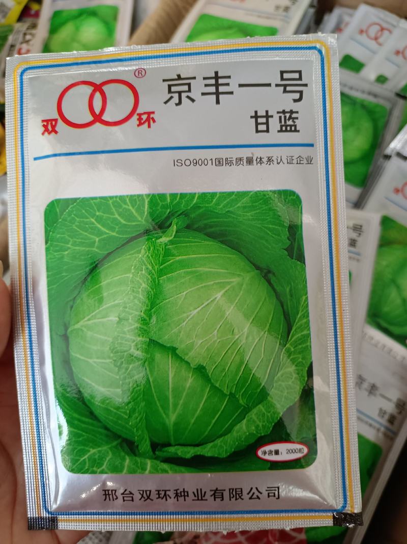 正品原装京丰一号甘蓝高产优质种子