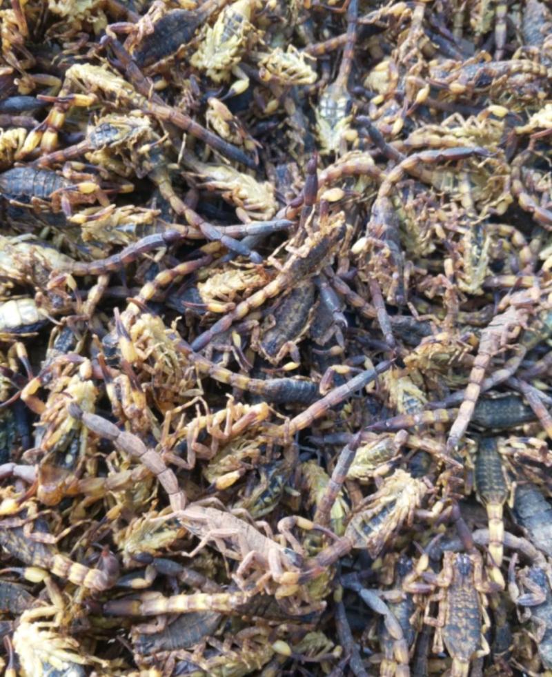 纯干货统装500g振兴药材购销站