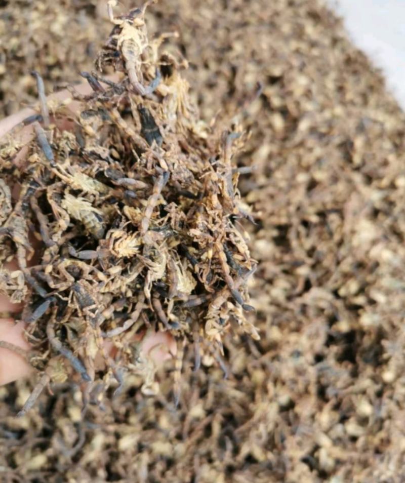 纯干货统装500g振兴药材购销站