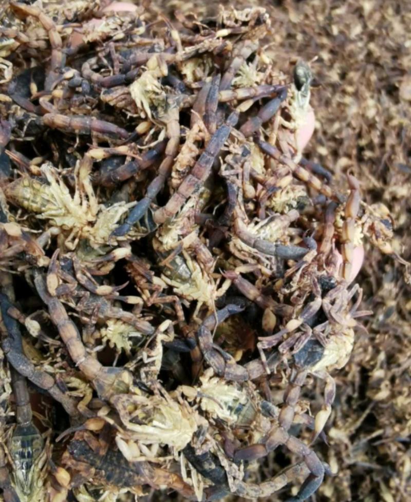 纯干货统装500g振兴药材购销站