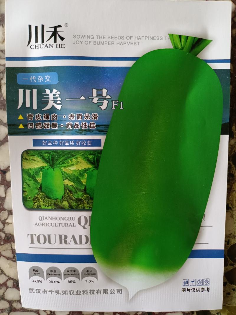【大青头萝卜种】青头萝卜露头萝卜高产优质种子