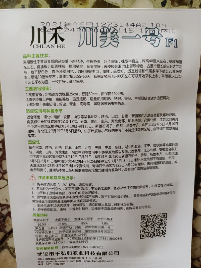 【大青头萝卜种】青头萝卜露头萝卜高产优质种子
