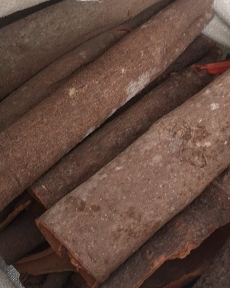 广西桂皮黑皮通大通