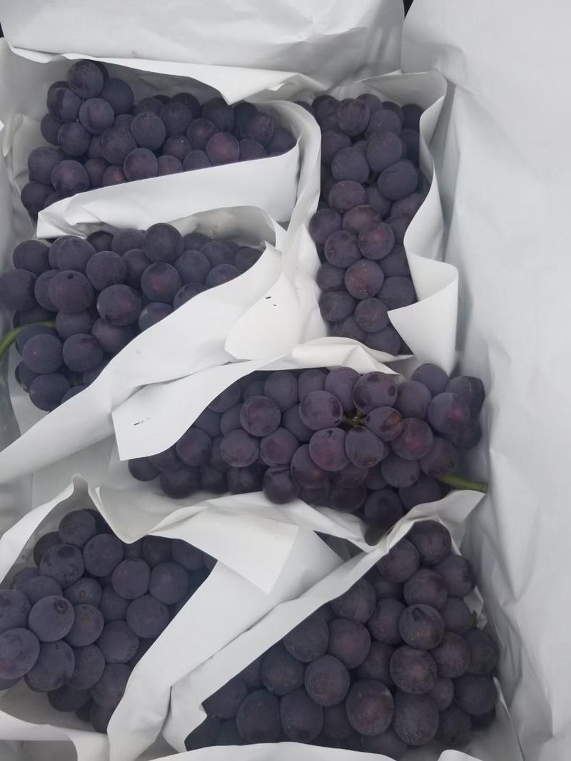 2023年周头京亚葡萄大量上市，口感颜色都好，质量比往年
